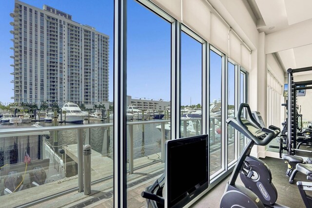 17301 Biscayne Blvd Unit 1108, Aventura, FL 33160 - view of workout area
