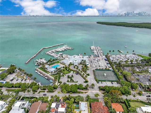 250 Fernwood Rd, Key Biscayne, FL 33149 - aerial view of property's location with a large body of water, numerous boat docks, and nearby urban area