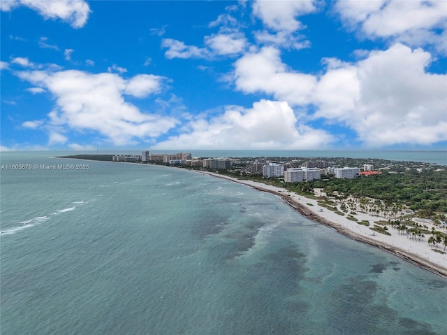 250 Fernwood Rd, Key Biscayne, FL 33149 - view of urban area with waterfront with a beach