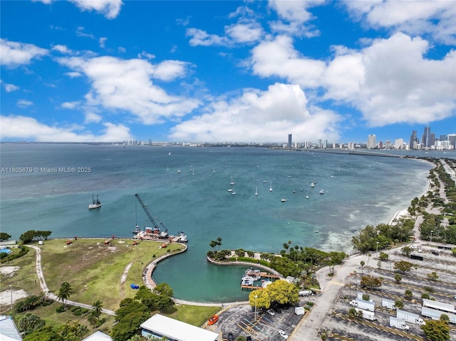 250 Fernwood Rd, Key Biscayne, FL 33149 - water view with city skyline