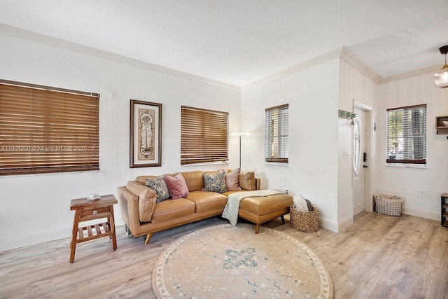 1136 NE 41st Ave, Homestead, FL 33033 - living room featuring crown molding, light wood-style floors, and baseboards