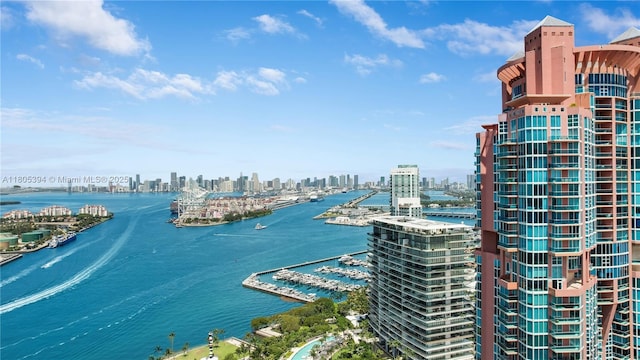 300 S Pointe Dr Unit 2005, Miami Beach, FL 33139 - water view with skyline