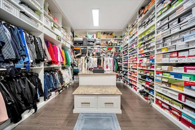 4800 SW 141st Ave, Miramar, FL 33027 - spacious closet with wood finish floors