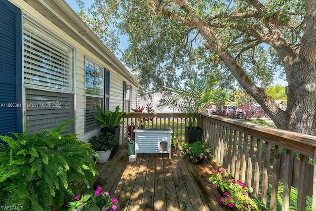 4018 Caloosa Loop, La Belle, FL 33935 - view of deck