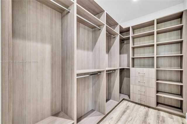 1233 NE 12th Ave Unit B, Fort Lauderdale, FL 33304 - spacious closet featuring light wood-style flooring