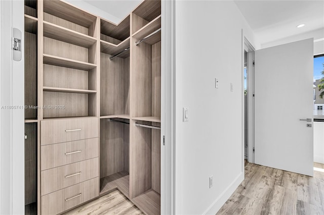 1233 NE 12th Ave Unit B, Fort Lauderdale, FL 33304 - walk in closet featuring light wood-style floors