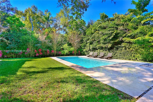swimming pool featuring a yard and a patio area