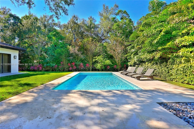 outdoor pool featuring a patio area and a lawn