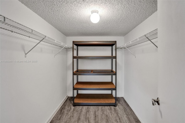 1108 Bahama Bnd Unit B1, Coconut Creek, FL 33066 - walk in closet with wood finished floors
