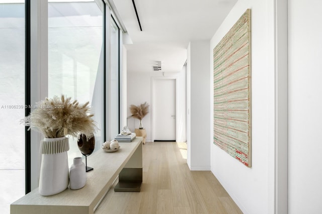 4700 N Meridian Ave, Miami Beach, FL 33140 - corridor with light wood-type flooring and baseboards