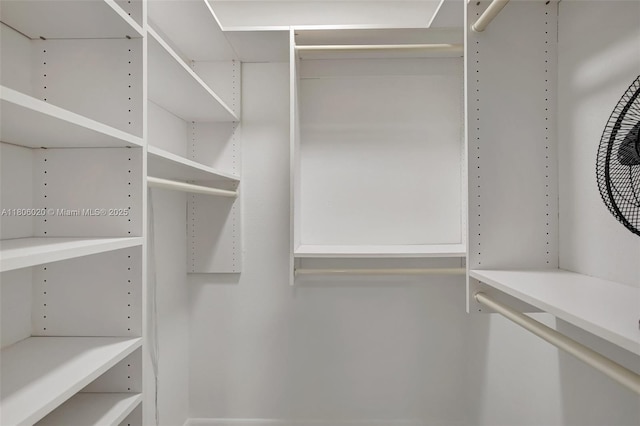 6703 Kingsmoor Way, Miami Lakes, FL 33014 - view of walk in closet
