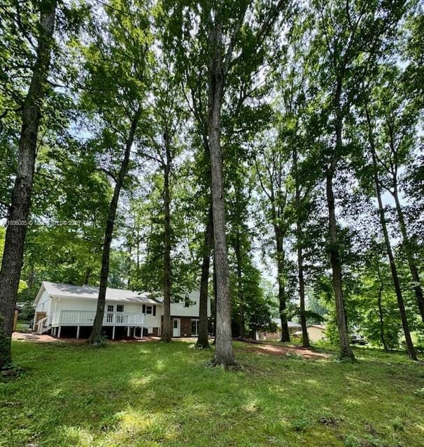 902 Vickie Dr, ,, NC 27511 - view of green lawn