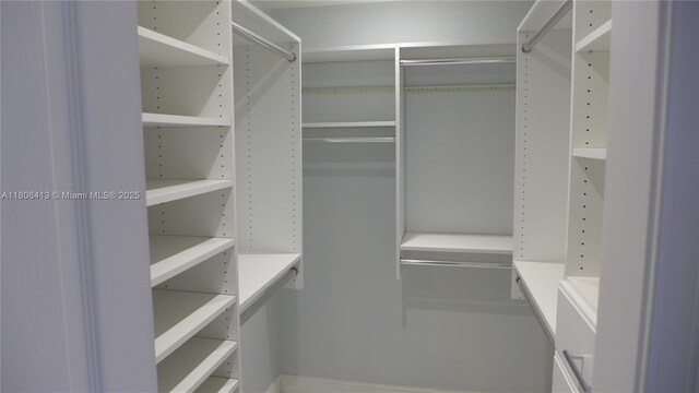 14430 SW 108th St, Miami, FL 33186 - view of walk in closet