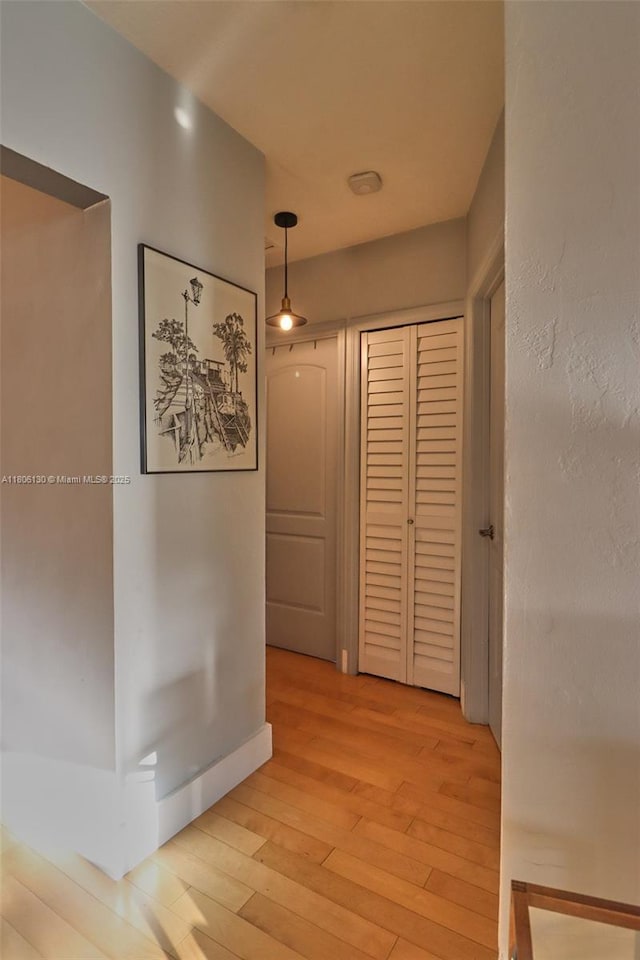 101 NE 9th Ave, Hialeah, FL 33010 - corridor featuring light wood-style flooring