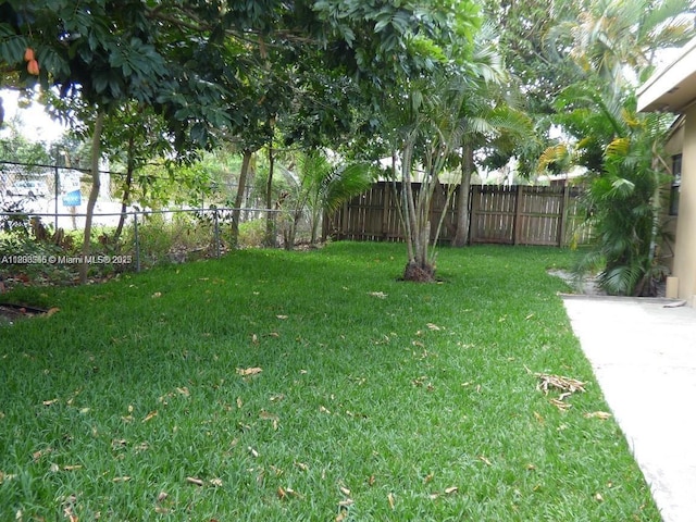 2507 N 66th Ave, Hollywood, FL 33024 - view of yard