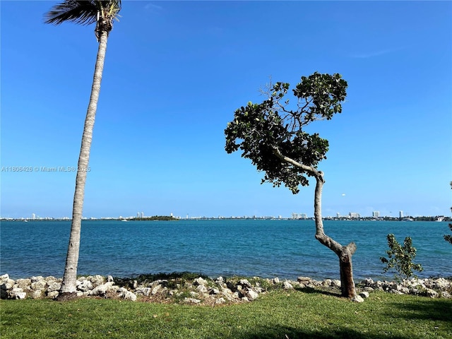 1900 N Bayshore Dr Unit 4708, Miami, FL 33132 - water view