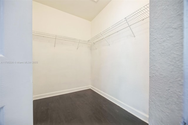355 SE 20th Ter, Homestead, FL 33033 - spacious closet featuring dark wood-style flooring