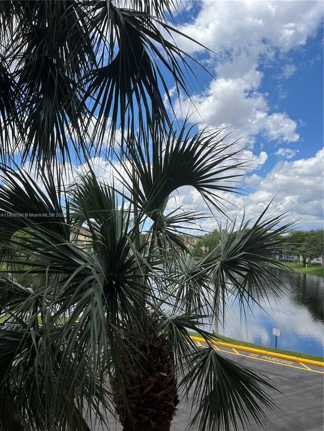 250 Jacaranda Dr Unit 303, Plantation, FL 33324 - water view