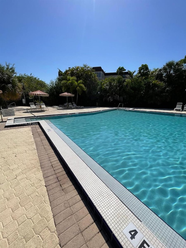7400 NW 17th St Unit 209, Plantation, FL 33313 - community pool featuring a patio