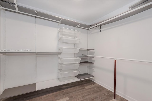 5255 Collins Ave Unit 14D, Miami Beach, FL 33140 - walk in closet with wood finished floors