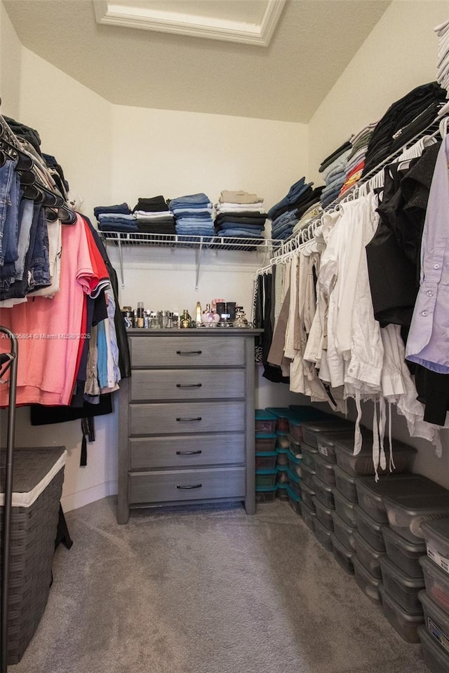10966 W 33rd Way, Hialeah, FL 33018 - walk in closet with carpet flooring