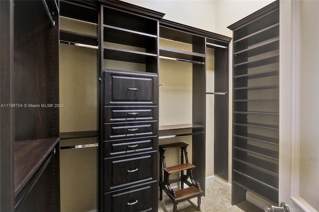 10233 NW 66th Dr, Parkland, FL 33076 - view of walk in closet