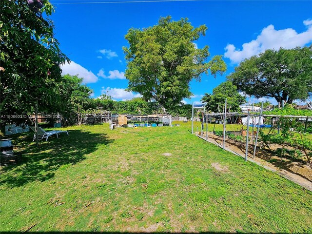 15600 SW 106th Ave, Miami, FL 33157 - view of green lawn