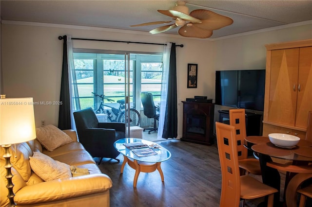 4501 Martinique Way # C1, Coconut Creek, FL 33066 - living area with a ceiling fan, wood finished floors, ornamental molding, and a fireplace