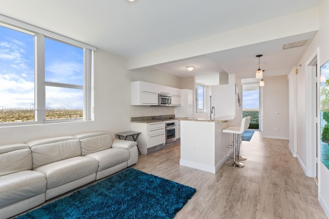 2641 N Flamingo Rd Unit 2408N, Sunrise, FL 33323 - living room with light wood-style flooring and baseboards