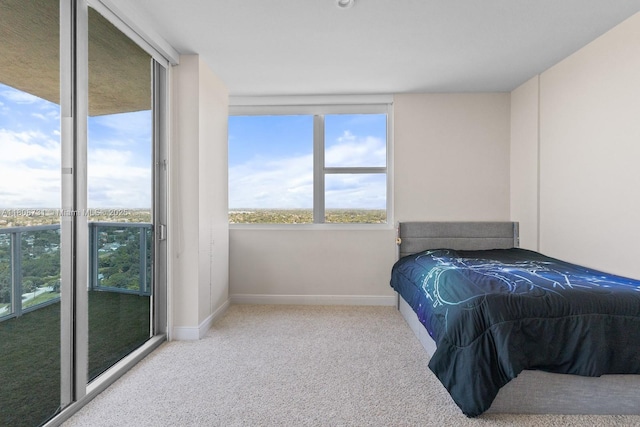 2641 N Flamingo Rd Unit 2408N, Sunrise, FL 33323 - carpeted bedroom with baseboards