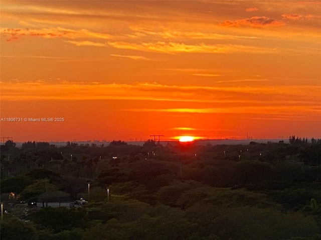 2641 N Flamingo Rd Unit 2408N, Sunrise, FL 33323 - water view
