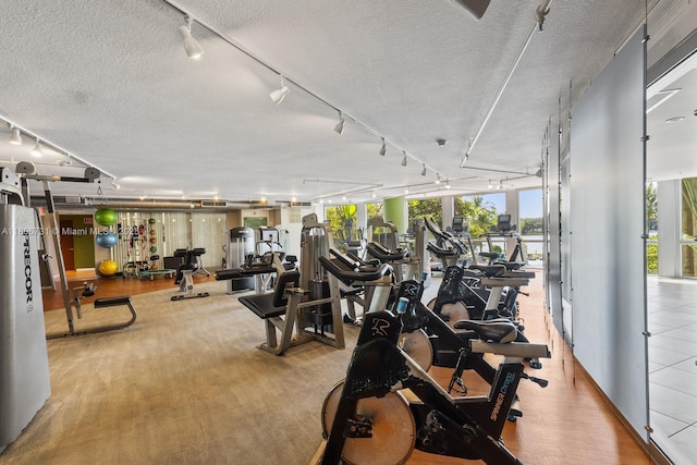 2641 N Flamingo Rd Unit 2408N, Sunrise, FL 33323 - workout area featuring rail lighting, plenty of natural light, and a textured ceiling