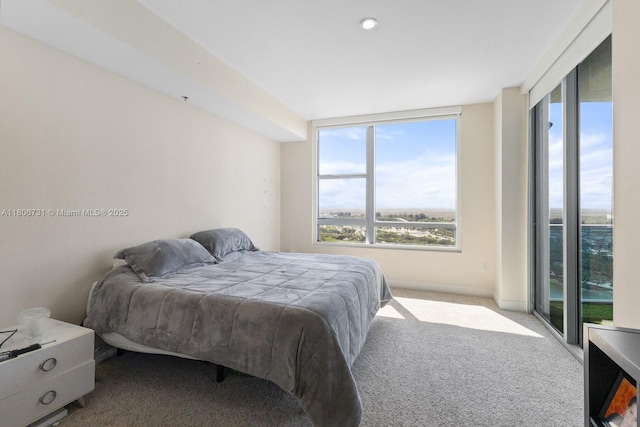 2641 N Flamingo Rd Unit 2408N, Sunrise, FL 33323 - view of carpeted bedroom