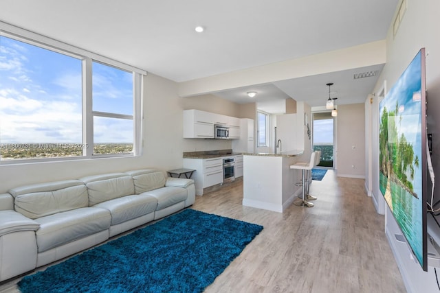2641 N Flamingo Rd Unit 2408N, Sunrise, FL 33323 - living room with light wood-style flooring, healthy amount of natural light, baseboards, and recessed lighting
