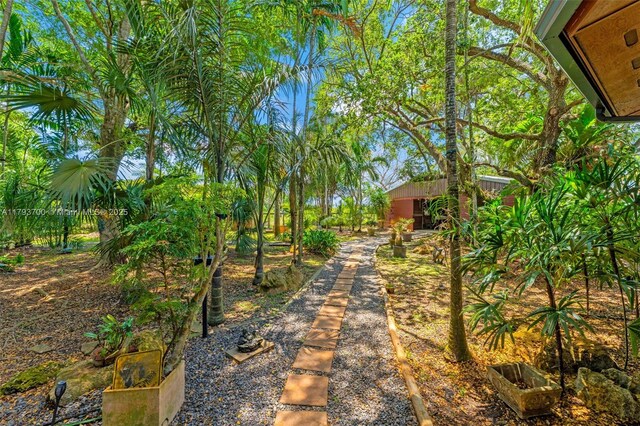 22800 SW 157th Ave, Miami, FL 33170 - view of yard