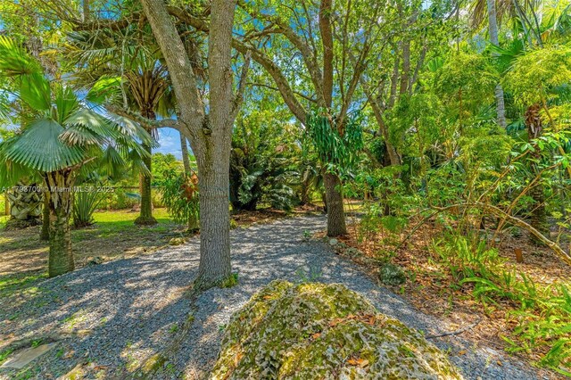 22800 SW 157th Ave, Miami, FL 33170 - view of yard