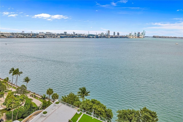770 Claughton Island Dr Unit 1409, Miami, FL 33131 - water view with skyline