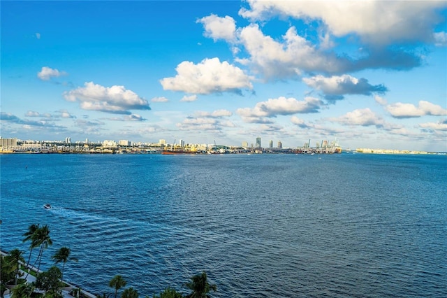 770 Claughton Island Dr Unit 1409, Miami, FL 33131 - water view featuring city skyline
