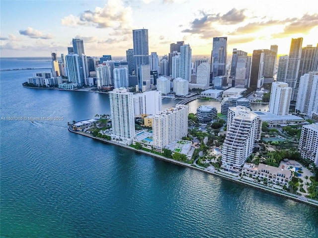 770 Claughton Island Dr Unit 1409, Miami, FL 33131 - bird's eye view of skyline and a nearby body of water