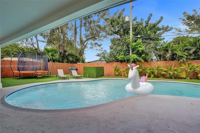 7531 Simms St, Hollywood, FL 33024 - view of pool featuring a trampoline and a patio