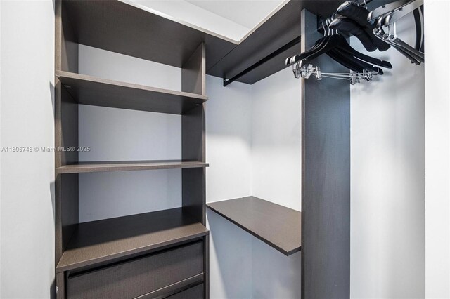 398 NE 5th St Unit 4518, Miami, FL 33132 - view of walk in closet