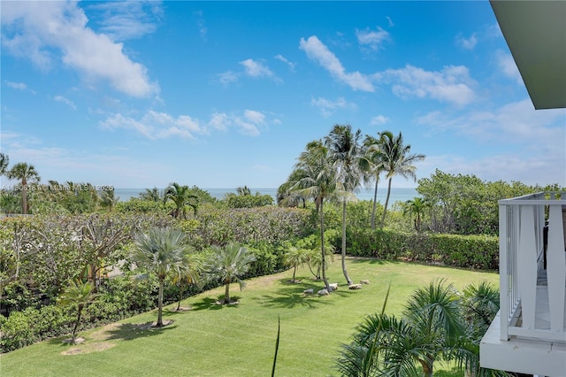 200 Ocean Lane Dr Unit 305, Key Biscayne, FL 33149 - view of grassy yard