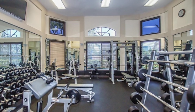 826 E Spinnaker Dr E, Hollywood, FL 33019 - exercise room featuring a towering ceiling
