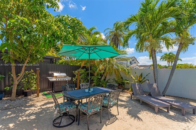 10020 SW 145th Pl, Miami, FL 33186 - fenced backyard featuring outdoor dining space, a patio area, and grilling area