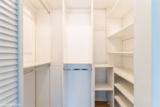750 NE 64th St Unit B308, Miami, FL 33138 - view of spacious closet