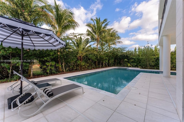 16703 S Botaniko Dr S, Weston, FL 33326 - swimming pool featuring a patio area