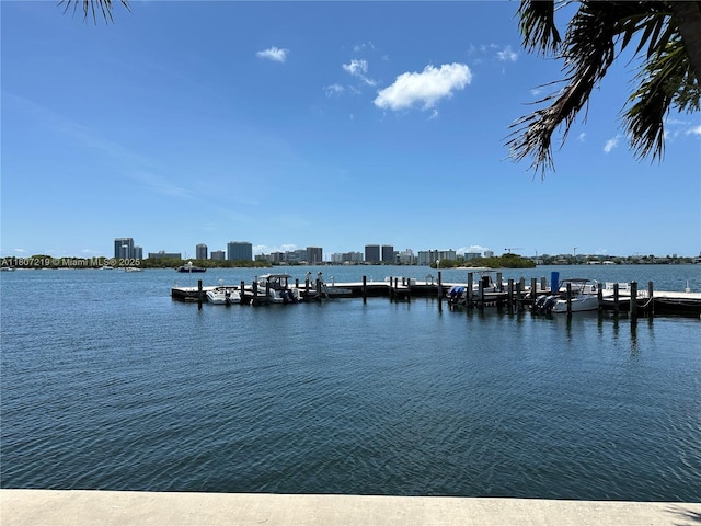 2700 NE 135th St Unit 56, North Miami, FL 33181 - dock with a water view and a skyline view
