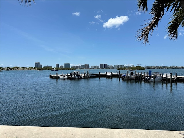 2700 NE 135th St Unit 56, North Miami, FL 33181 - dock featuring a water view and a view of skyline