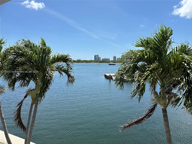 2700 NE 135th St Unit 56, North Miami, FL 33181 - water view