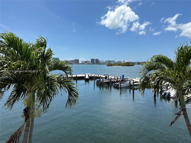 2700 NE 135th St Unit 56, North Miami, FL 33181 - dock area with a water view and a skyline view